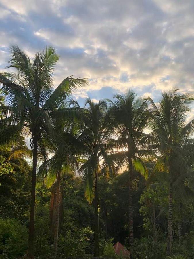 Puesta Del Sol Hotel Quepos Buitenkant foto